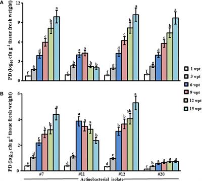 The Multifarious Endophytic Actinobacterial Isolate, Streptomyces tubercidicus UAE1, Combined With the Seaweed Biostimulant Further Promotes Growth of Avicennia marina